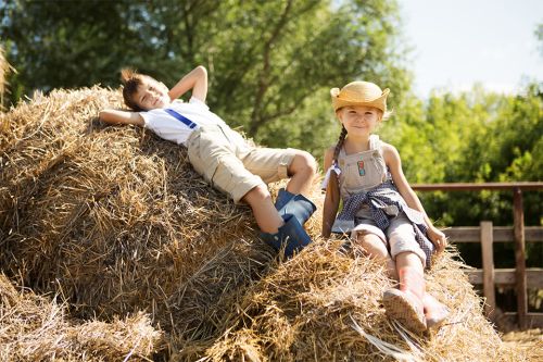 Foto: Zwei Kinder sitzen auf Heuhaufen