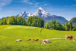 Foto: Landschaft in den Alpen